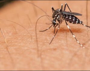 police complaint against dengue