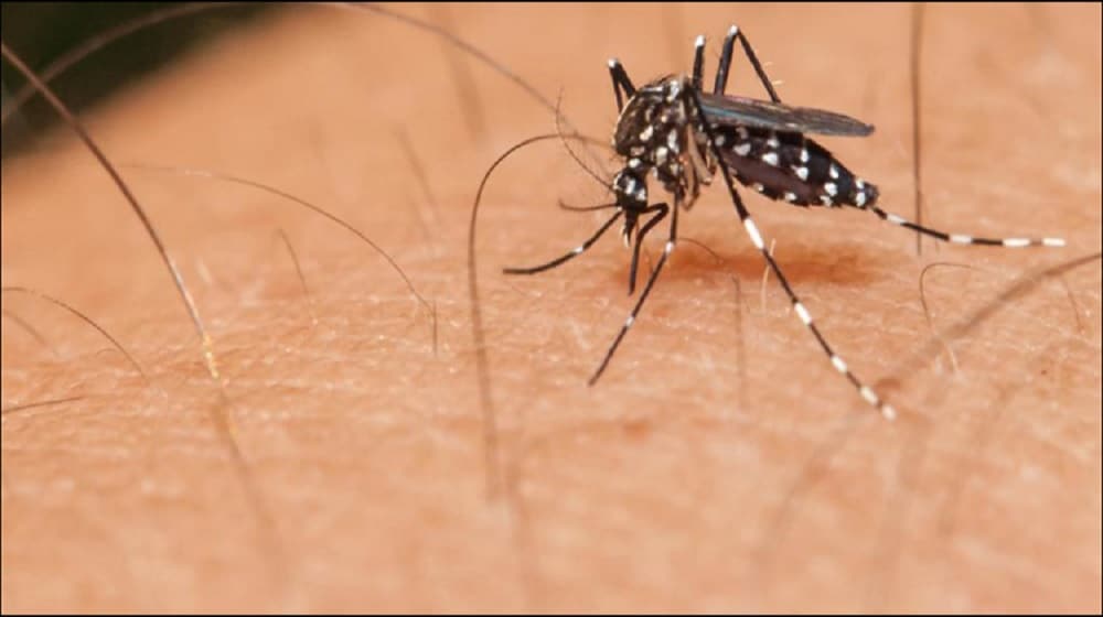 police complaint against dengue