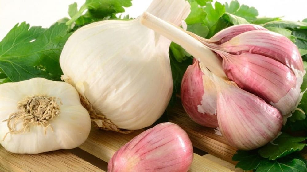 Garlic worth Rs 1.3 million stolen from NARC
