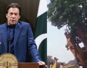 PM Khan shares a video of a tree being replanted