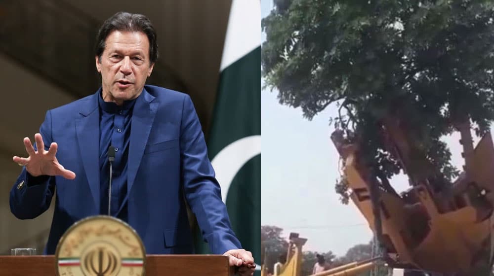 PM Khan shares a video of a tree being replanted