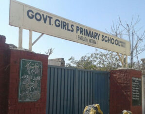 Rahim Yar Khan teacher asks primary students to remove her head lice