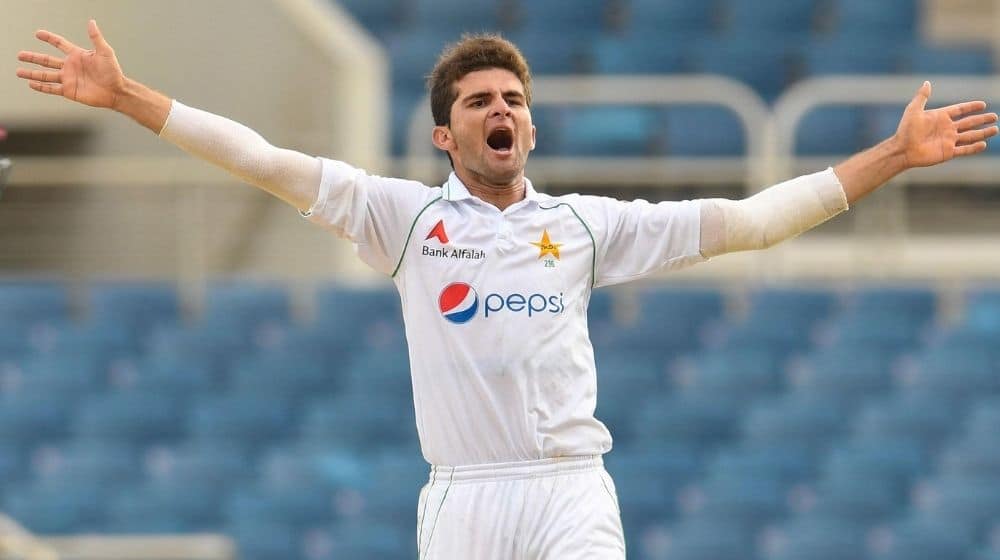 Shaheen Afridi Moves Up in ICC Test Bowler Rankings Without Playing a Match