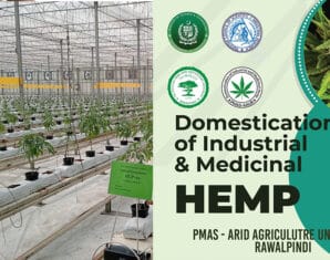 Hemp | ProPakistani