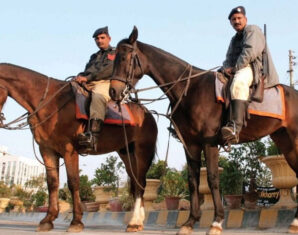 horse-mounted police patroll