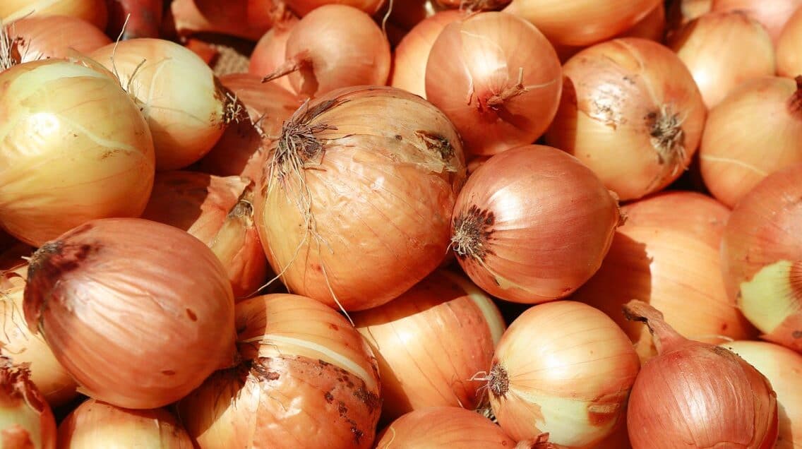 Traders Aren’t Happy About Minimum Price of Exported Onions