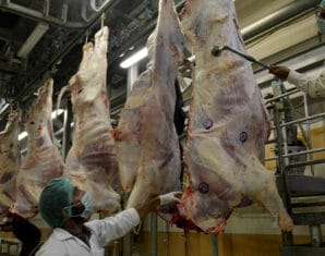 Meat Export | ProPakistani