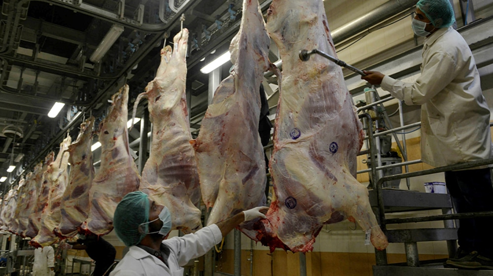 Meat Export | ProPakistani