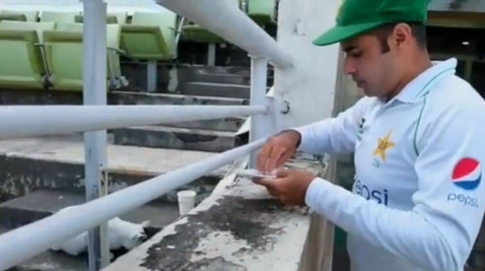 Abid Ali’s Cat-Feeding Video During Lunch Break Goes Viral