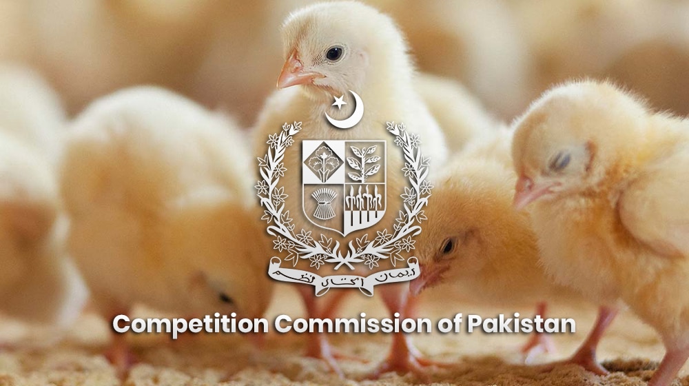 CCP | Broiler Chicks | ProPakistani