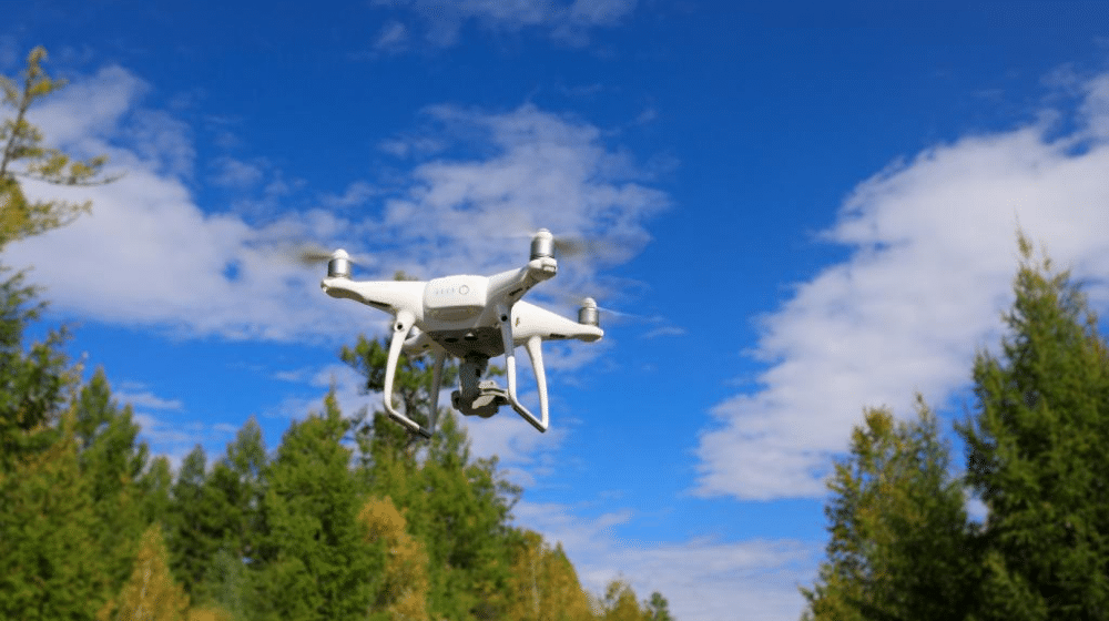 CDA to Monitor Wildlife Using Drones