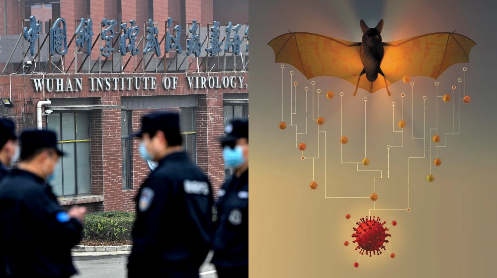 Wuhan Scientists Discover 23-Times Deadlier Coronavirus in Bats