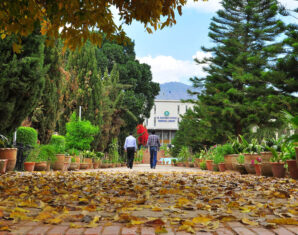 QAU | harassment complaints | sexual abuse