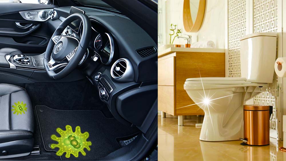 Your Car’s Interior Has More Bacteria Than Your Toilet: Study
