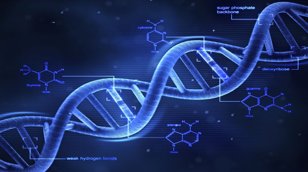 Researchers Enhance DNA to Store a Huge Amount of Data