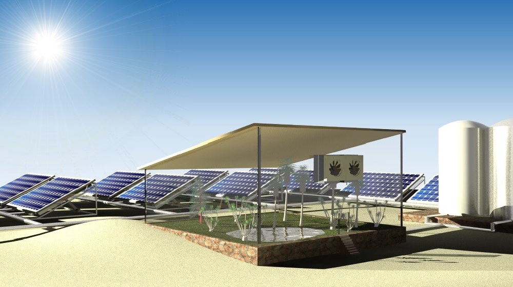 Researchers Grow Food Using Solar Panels Only