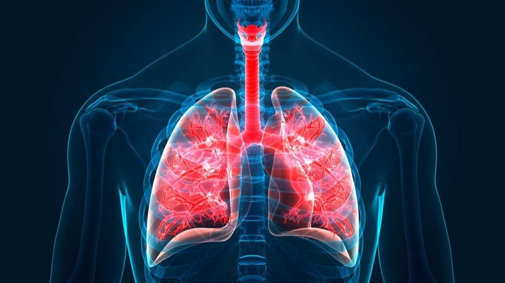 Scientists Have Found a New Organ Hiding in The Lungs