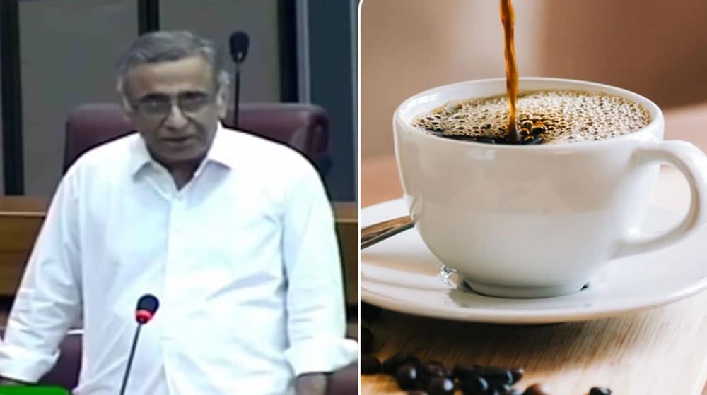 MNA Gets Angry on No Coffee After Ban While Animals Face Death Due to Food Shortage