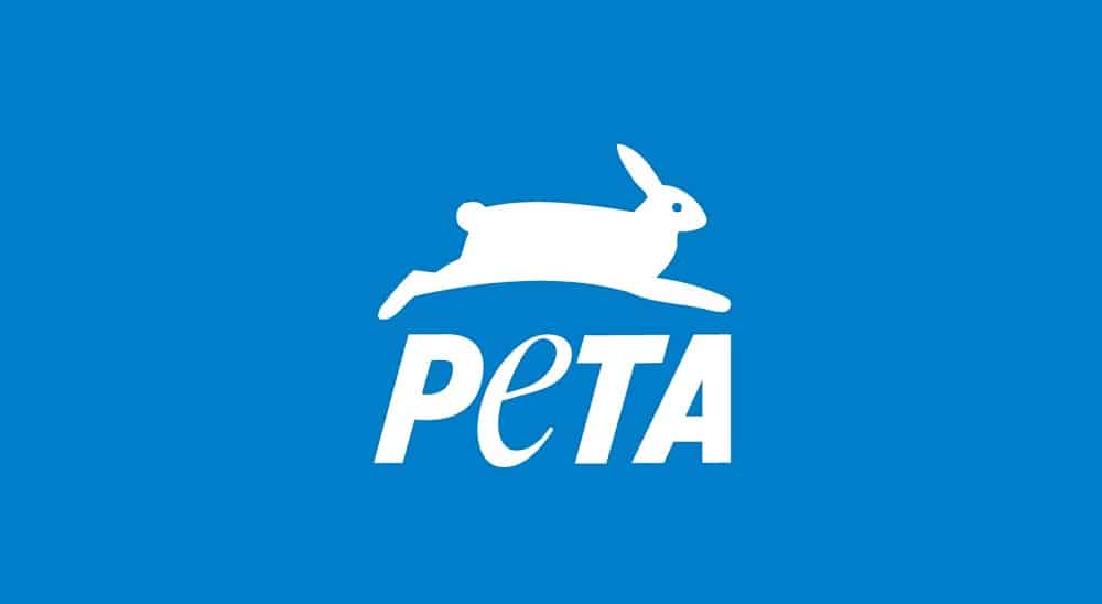 PETA and Govt Agree to End Animal Experiments at Universities Across  Pakistan