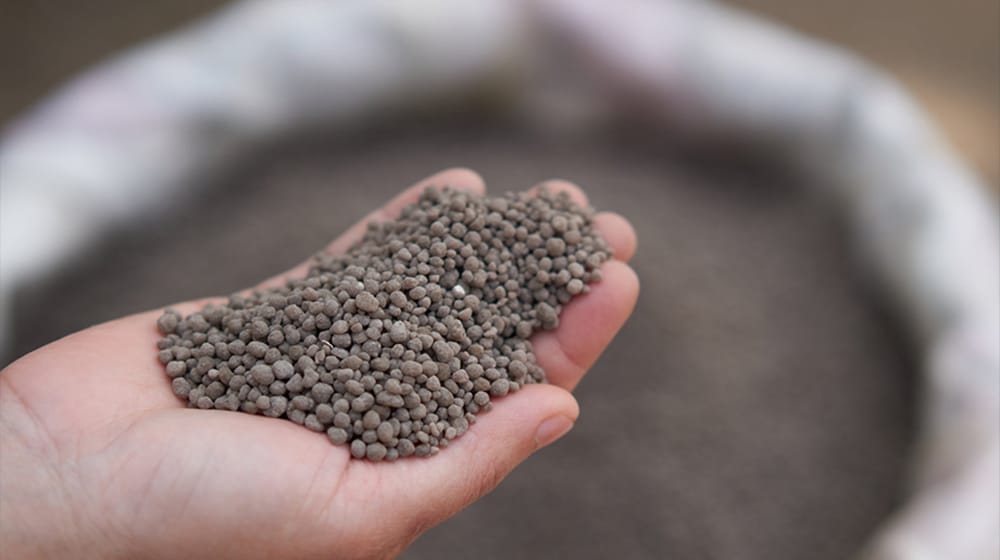 Fertilizer Industry Shows Serious Concerns Over DAP Import Via TCP