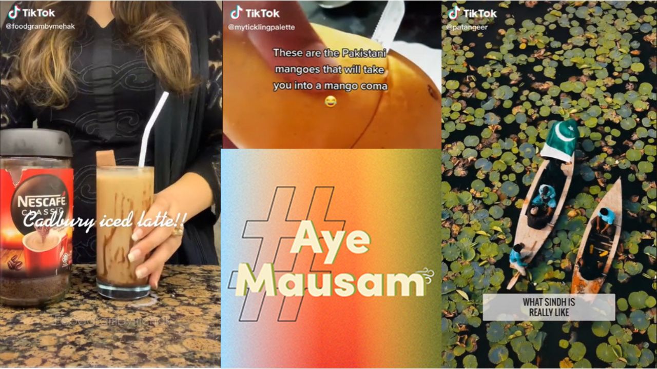TikTok Unveils the True Colors of Summer with #AyeMausam