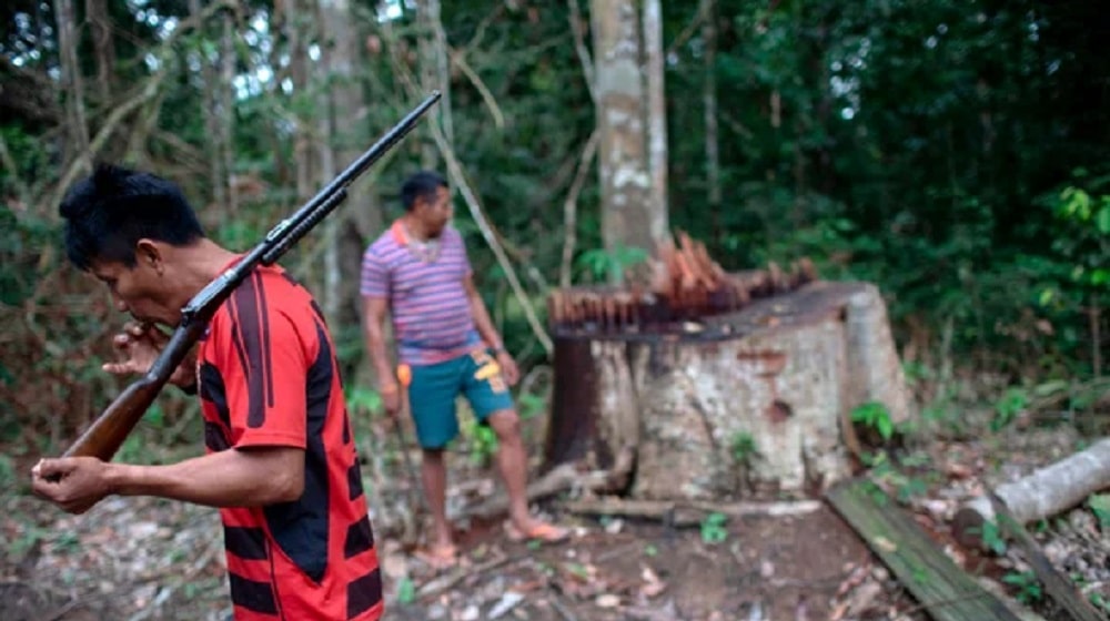 Shocking Number of Environmental Activists Murdered in 2021