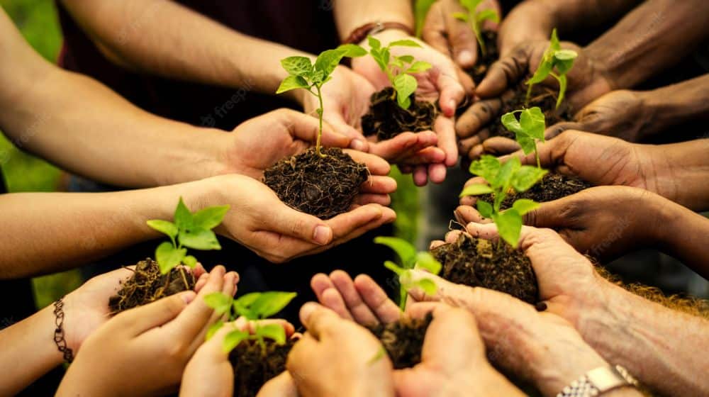 Lahore Education Department Plants Record 10,000 Trees in a Minute