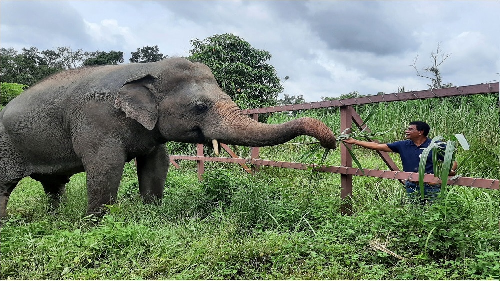 Internationally Renowned Dr. Amir Khalil Meets World’s Loneliest Elephant After 2 Years