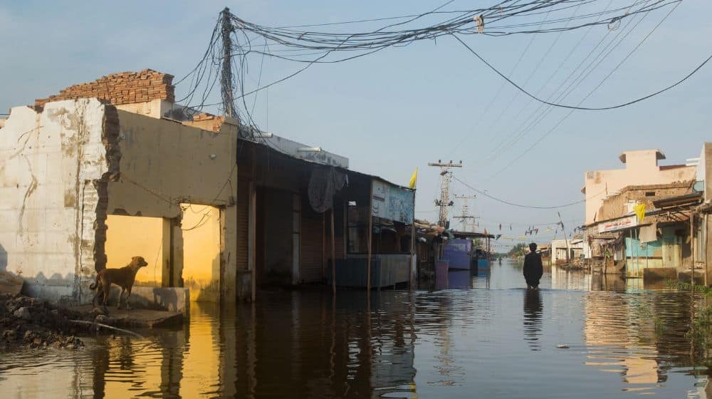 UN to Launch Revised $600 Million Appeal for Flood Affectees of Pakistan