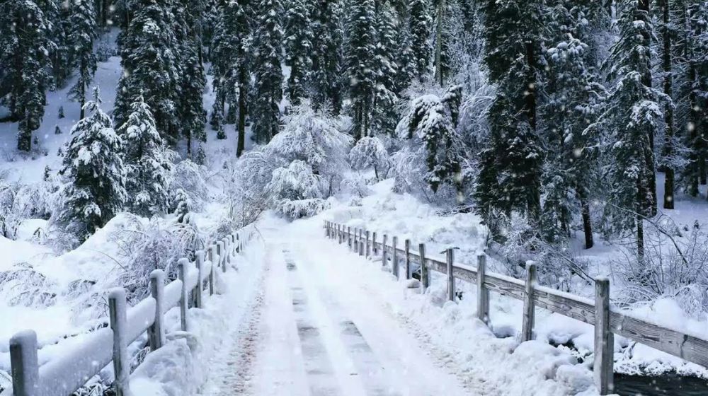 NDMA Issues Travel Advisory After Snowfall Season Begins in Pakistan