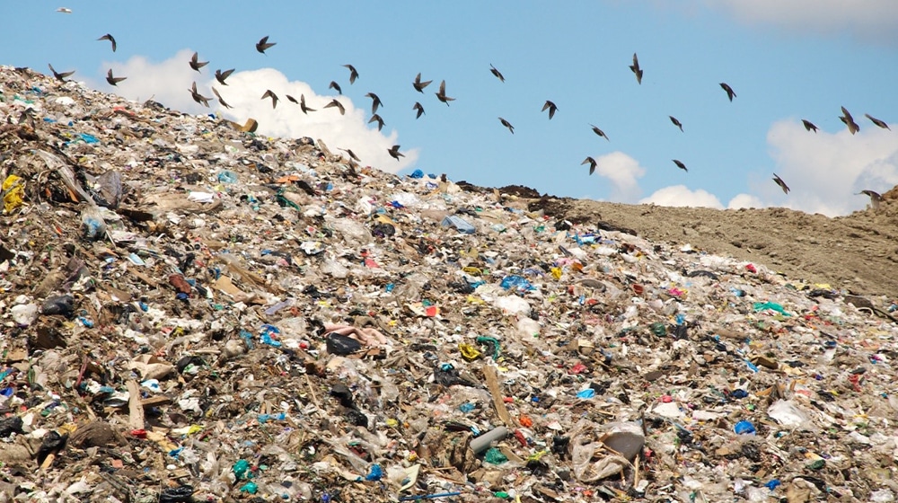 Karachi’s Waste Problem – Can We Turn Trash Into Treasure?