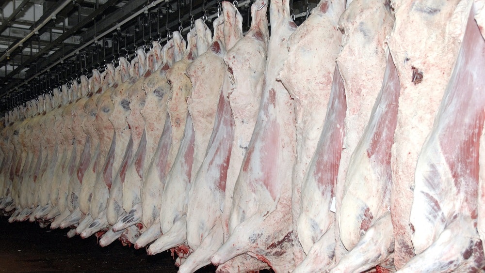 7,000 KGs of 3-Year Old Expired Meat Seized From Hotel in Lahore