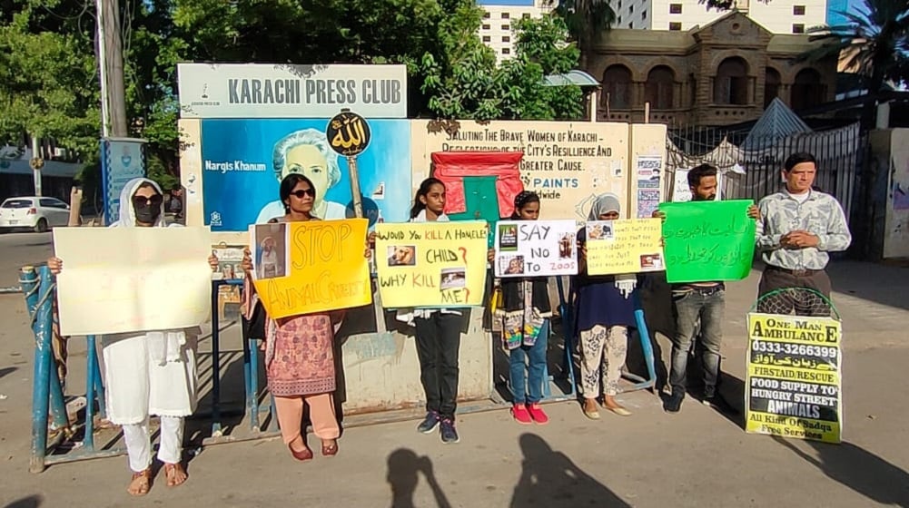 Protestors Call for End to Dog Culling and Adoption of TNVR Program in Sindh