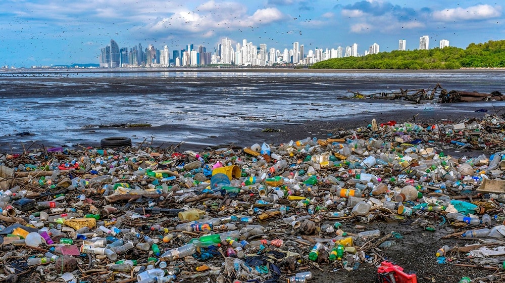 Survey Shows 7 out of 10 People Support Global Rules to End Plastic Pollution