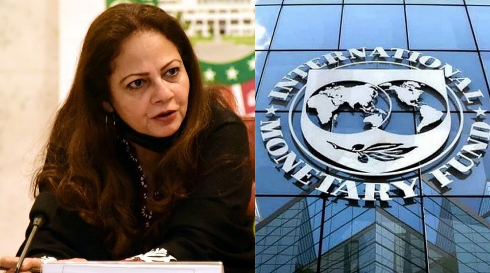 Govt Wants to Continue IMF Program: Minister