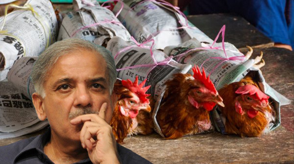 PM Shehbaz Shocked at Massive Increase in Chicken Prices