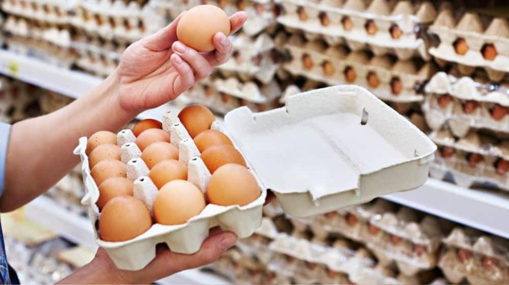 UAE Massively Increases Prices of Eggs and Poultry Products