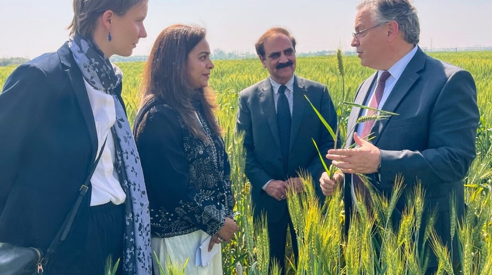 US Partners With Pakistan to Help Farmers Improve Fertilizer Use