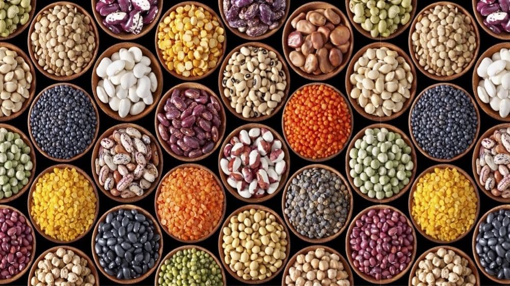 Punjab Seed Council Approves Dozens of New Varieties of Seeds for Cultivation