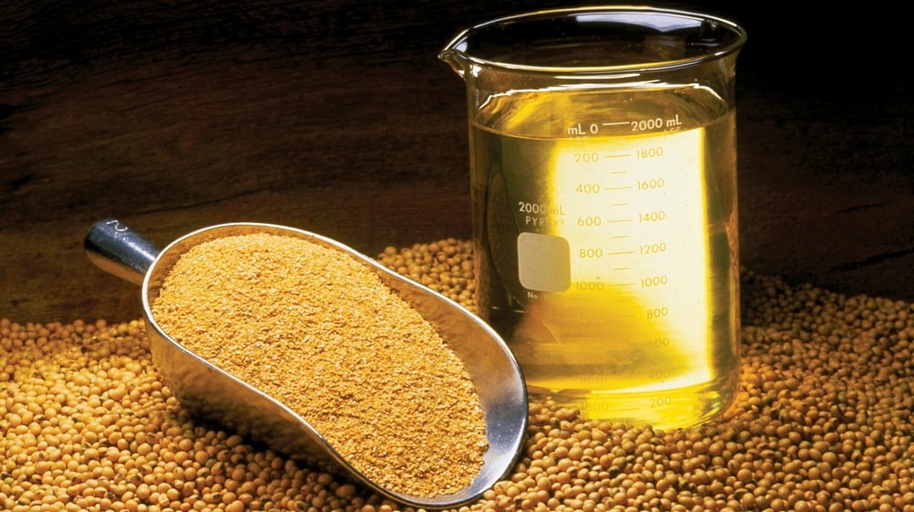 Govt Sets Target to Meet 60% of Edible Oil Needs Locally by 2033-34