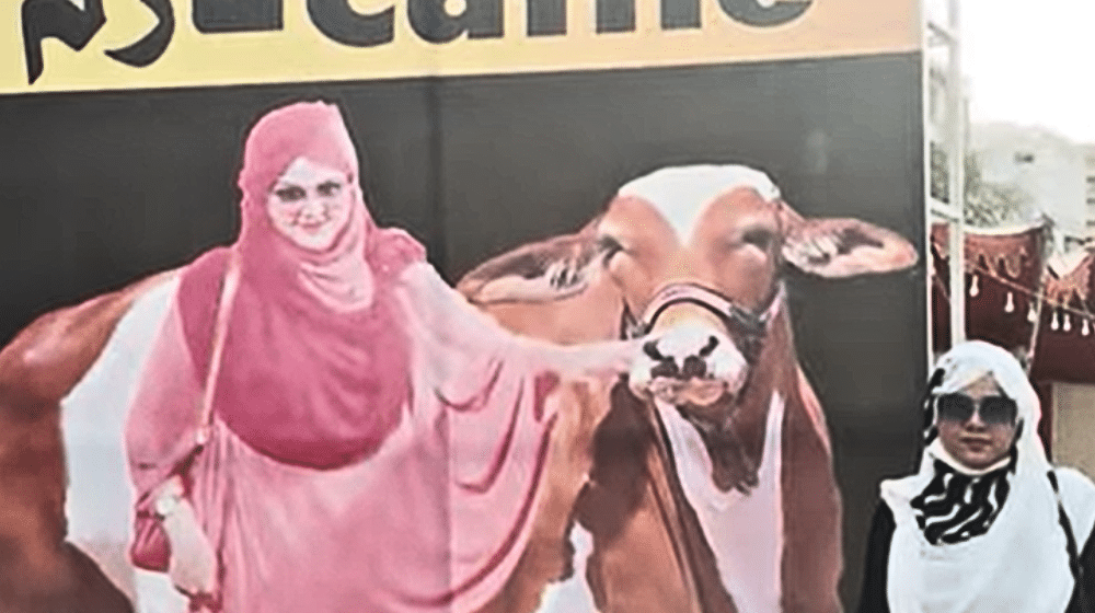Women Exclusive Cattle Market for Eid-ul-Azha Opens in Karachi