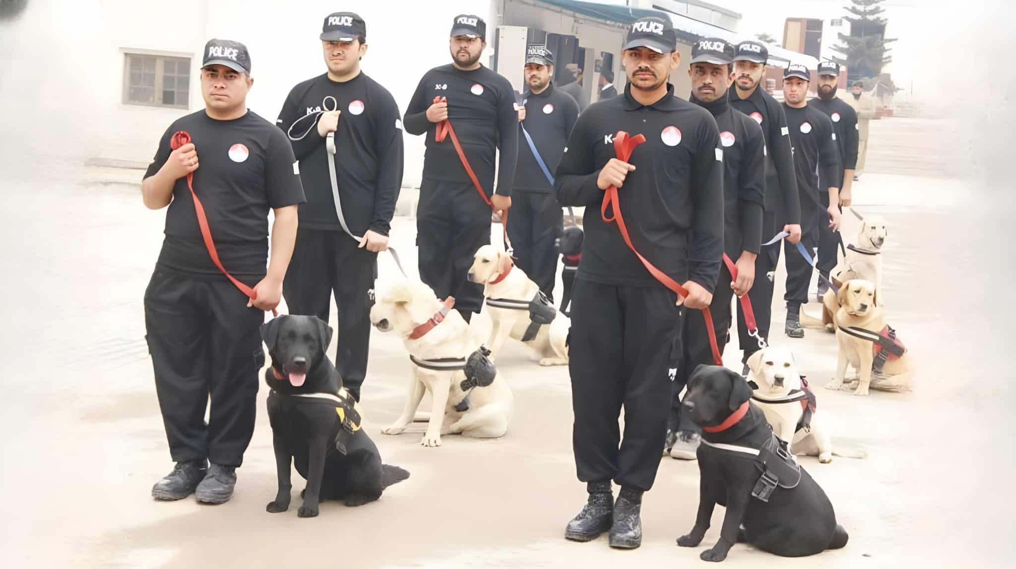 Punjab Police Launches Adoption Program for Retired Sniffer Dogs