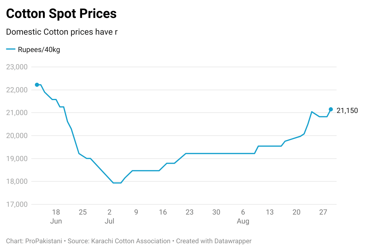 Seed Cotton Prices Cross Rs. 9,400 In Punjab How Long Will Rates Stay Up?
