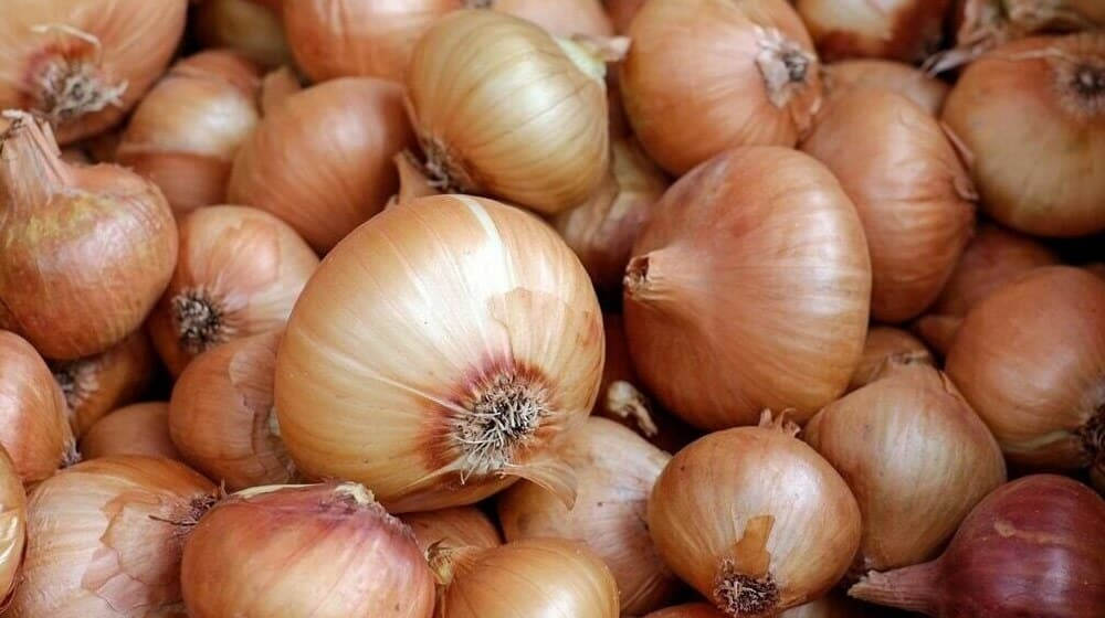 Bangladesh to Import Almost 12,000 Tonnes of Onions from Pakistan