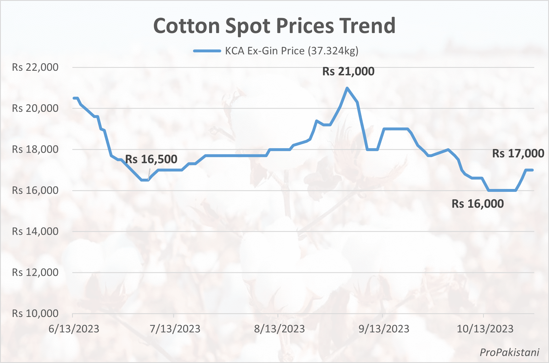 Cotton Prices Rise By Rs. 1000 Per Maund in One Week