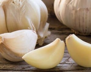 Garlic