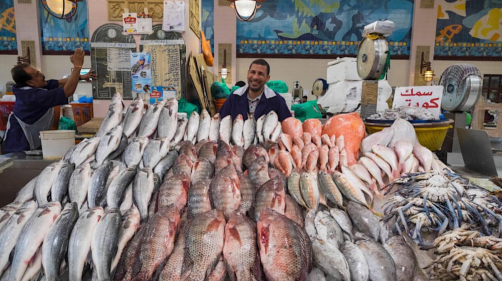 Prices of Popular Fish Varieties Soar By 50%