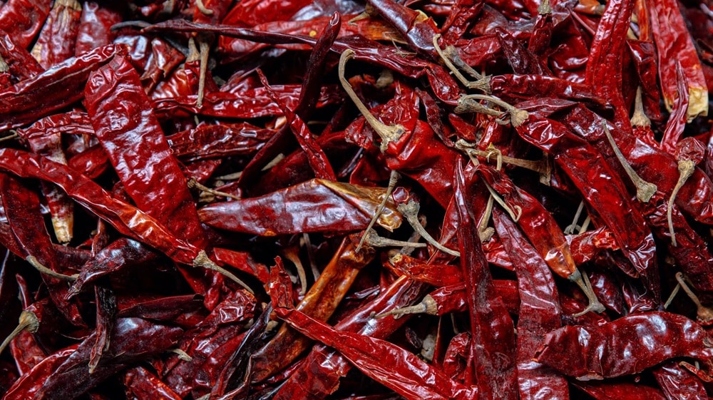Pakistan’s Starts Export of Dried Chillies to China