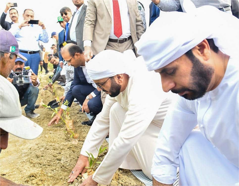 A view of CEO KGTL, Mr. Khurram Aziz Khan at the mangrove plantation start at the Mangrove Park in Karachi.