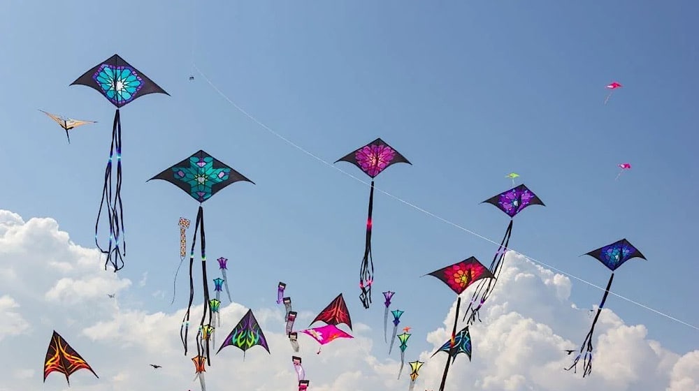 Punjab Govt is Considering Anti-Terrorism Punishments for Kite Flying